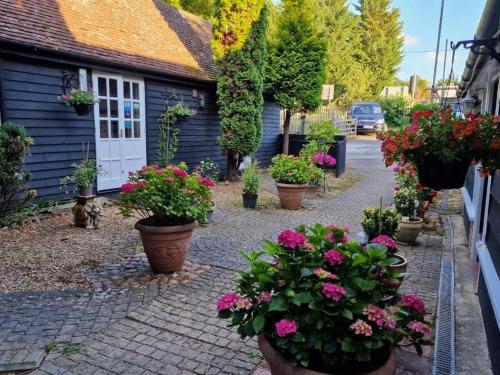 a garden with flowers in pots in front of a house at AbingPlough House in Abingdon