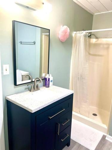 a bathroom with a sink and a mirror and a shower at The Cozy Place in Athens