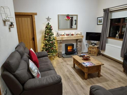 a living room with a christmas tree and a couch at Hollymount Cottage in Cranley