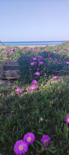 Villa les pieds dans l'eau