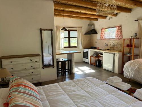 a bedroom with a large bed and a kitchen at El Encuentro - cabaña con vistas a los cerros - Maimará in Maimará
