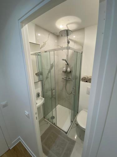 une salle de bain avec une douche en verre et des toilettes dans l'établissement Cocoon Meridien, à Paris