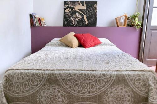 ein Bett mit zwei Kissen darüber in der Unterkunft Encantadora casa en el corazón de Salta in Salta