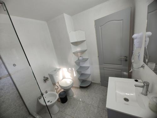 a bathroom with a shower and a toilet and a sink at Sol de montaña, Bariloche. in San Carlos de Bariloche