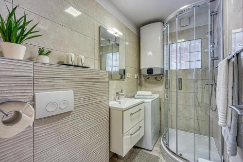 a bathroom with a shower and a sink and a toilet at Villa Dana in Divšići
