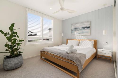 - une chambre avec un lit et une plante en pot dans l'établissement A Light Filled Contemporary Design Apartment, à Sydney