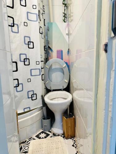 une petite salle de bain avec toilettes et lavabo dans l'établissement Studio animé et nifty à Paris/Denfert Rochereau, à Paris