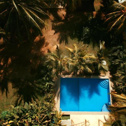 a view of a blue pool with palm trees at The captains iin in Chinandega