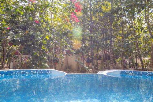 בריכת השחייה שנמצאת ב-Eco Domos los Jaguares או באזור