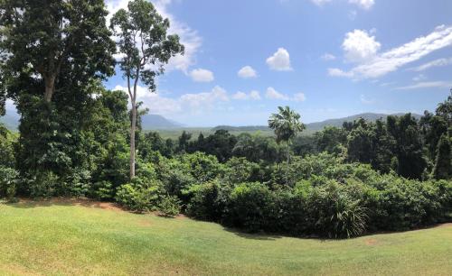 a view of a forest of trees and bushes at Daintree - House with a view in Cow Bay