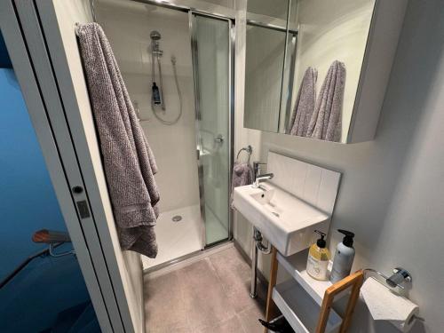 Koupelna v ubytování New Listing Loft Apt & A C in Heart of Devonport