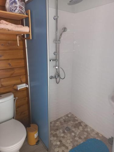 a bathroom with a shower with a toilet at Gite de Germaine in Sainte-Anne