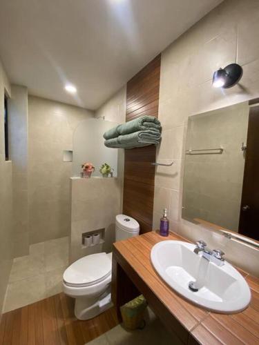 ein Badezimmer mit einem Waschbecken, einem WC und einem Spiegel in der Unterkunft Departamento Oaxaca Bella in Oaxaca de Juárez