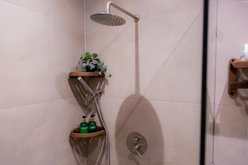 a bathroom with a shower with bottles and plants at Bahandi Hotel in General Luna