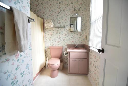 baño con aseo rosa y lavamanos en Souther Country Lodge - 200 Acres!, en Blairsville
