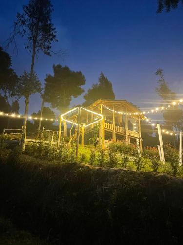 a garden with a greenhouse at night with lights at GLAMPING MILAGROS in San Pedro