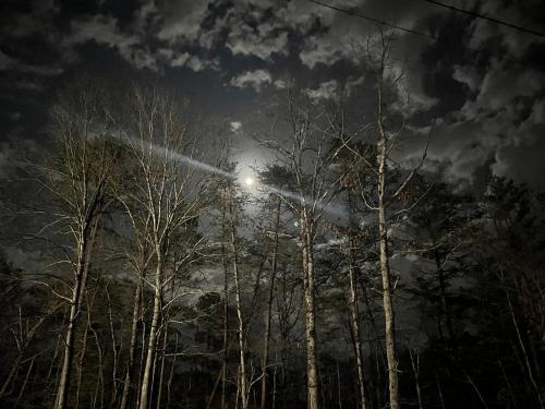 Gallery image of Mountain Top Hideout in Sevierville