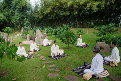 Гости The Coffee City - Healing & Retreats