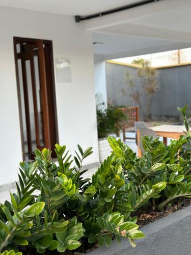 Zahrada ubytování Rio Claro Comfort Hostel e Suítes
