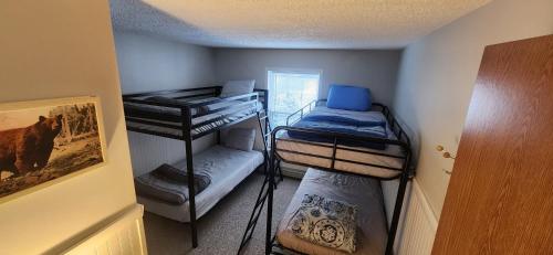 a small room with three bunk beds in it at Chandler Hill Base Camp - Enjoy A Nature Getaway in this Rustic Home in the Mountains, 10 minutes from Sunday River Ski Mountain! home in Bethel
