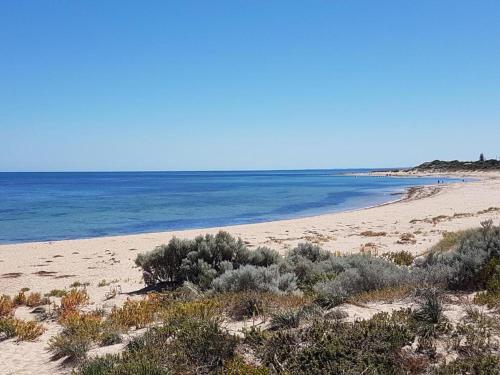 a sandy beach with bushes and the ocean at Dolphin Beach House - Wannanup, Mandurah between the estuary and the ocean in Wannanup
