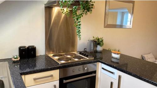 a kitchen with a stove and a counter top at Studio one bedroom En-Suite with Kitchenette in Easthampstead