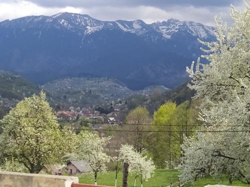 a view of a mountain range with snow capped mountains at Britania in Bran