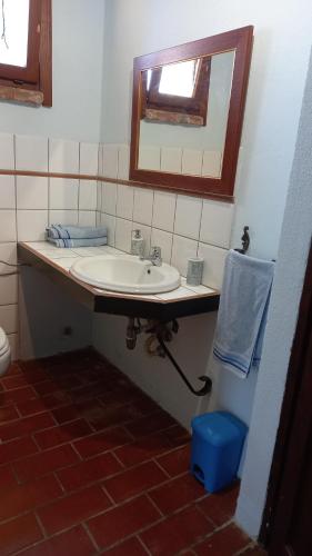 een badkamer met een wastafel en een spiegel bij La Pievaccia in Binami
