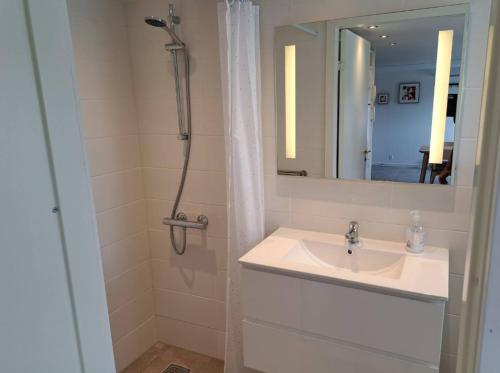 y baño con lavabo y ducha. en Idyllic Countryside Apartment en Christiansfeld