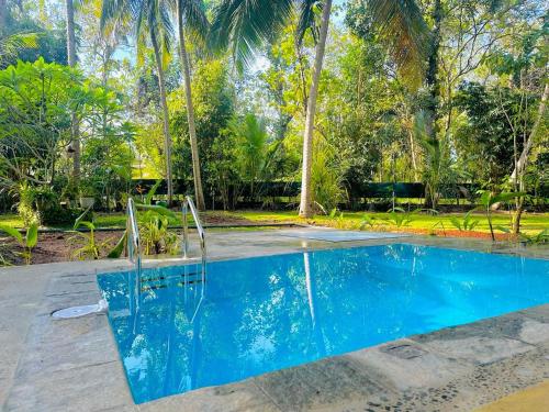 a blue swimming pool with trees in the background at Elegant Hamlets Home Stay in Chilaw