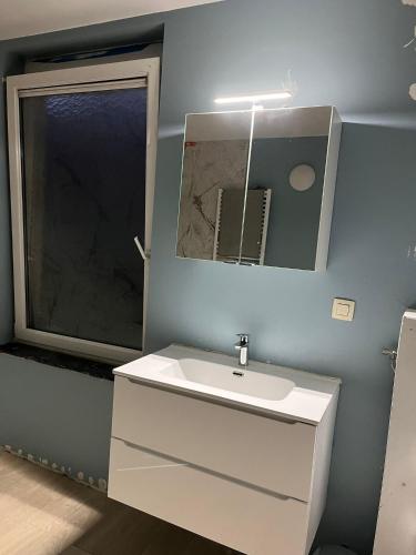 La salle de bains est pourvue d'un lavabo blanc et d'un miroir. dans l'établissement Chambre 2 lits simples, à Bruxelles