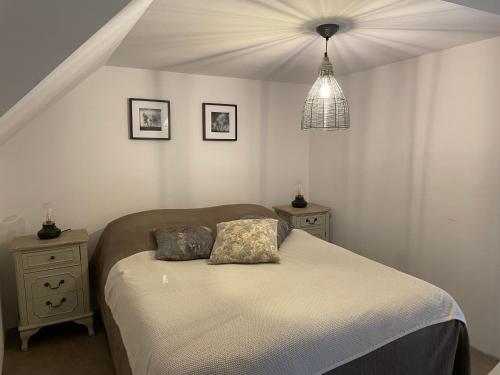 een slaapkamer met een bed met 2 kussens erop bij Tiers Lieu 59 Grand Rue in Bouxwiller