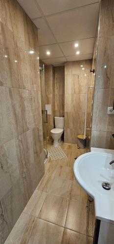 uma casa de banho com um lavatório e um WC em Д и В 3 - D & V 3 Apartment em Sandanski