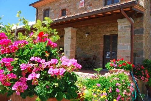 un jardín de flores frente a una casa en Ferienhaus mit Privatpool für 10 Personen ca 200 qm in Civitella in Val di Chiana, Toskana Provinz Arezzo, en Civitella in Val di Chiana