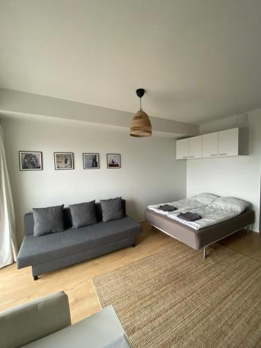 ein Wohnzimmer mit einem Bett und einem Sofa in der Unterkunft New Studio With Lake View in Tampere