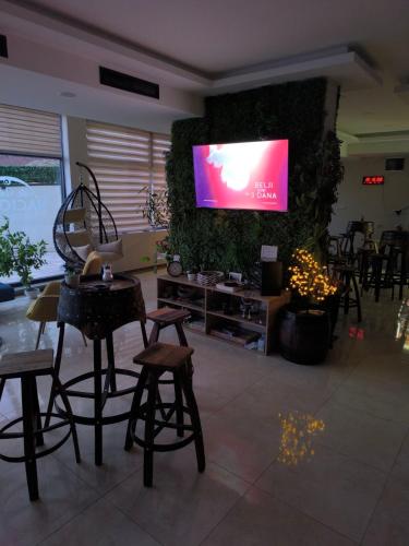 Televisyen dan/atau pusat hiburan di Katalina Zlatibor