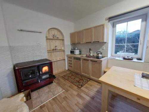 a kitchen with a stove in the middle of a room at Chalupa u Desné in Petrov nad Desnou