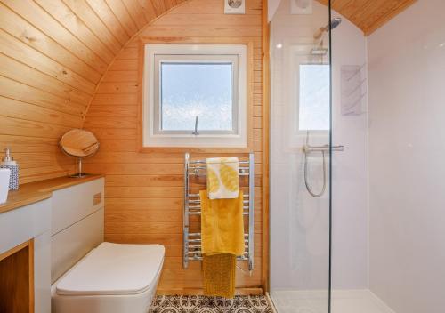 ein Bad mit einem WC und einer Dusche in der Unterkunft Clywedog in Cyffylliog