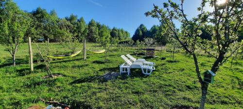 a hammock in the middle of a field at Tiny House Stefana with garden in Transylvania 