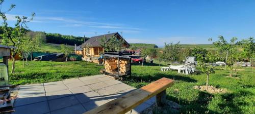a view of a yard with a house in the background at Tiny House Stefana with garden in Transylvania 