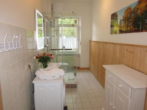 een badkamer met een douche, een toilet en een wastafel bij NoOaks in Meißen