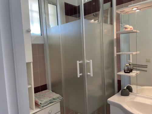 une salle de bain avec douche et lavabo dans l'établissement APPARTEMENT AVEC PISCINE, à Argelès-sur-Mer
