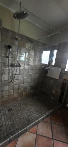 a bathroom with a shower with a tiled floor at Rheinblick am Rheinsteig mit Balkon und Sauna in Urbar-Mayen-Koblenz