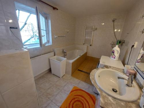 a bathroom with a sink and a bath tub and a sink at Chalupa u Desné in Petrov nad Desnou