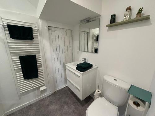 une salle de bain avec des toilettes blanches et un miroir dans l'établissement Appartement Moderne, à La Roche-sur-Yon