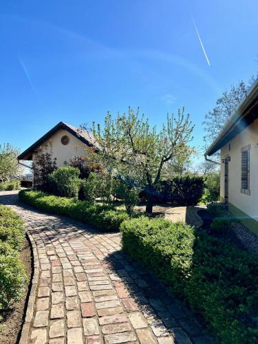 a brick path in front of a house at BÉNI family wine farm in Cegléd