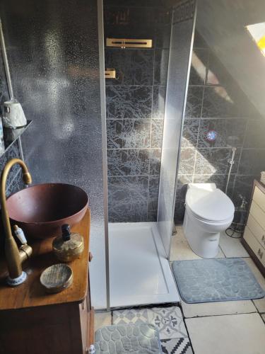 Kylpyhuone majoituspaikassa LE VIEIL HERMITAGE