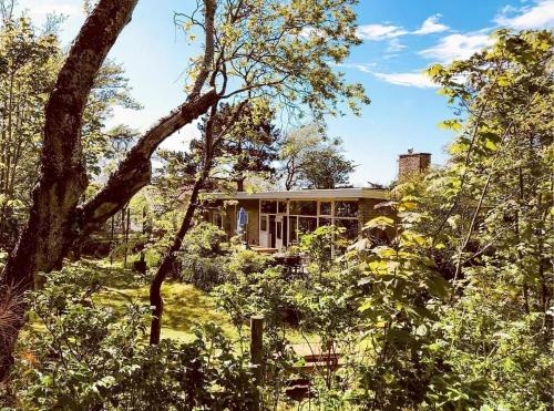 una casa en el bosque con árboles en Villa de Duinfazant, en Bergen aan Zee