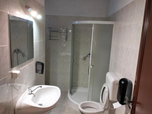 La salle de bains est pourvue d'une douche, de toilettes et d'un lavabo. dans l'établissement Pensiunea Cabana Art, à Arieşeni