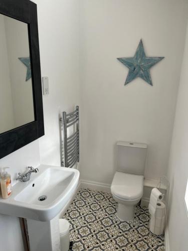 bagno con lavandino, servizi igienici e specchio di Bonny Cottage a Whitby